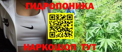кокс Моздок