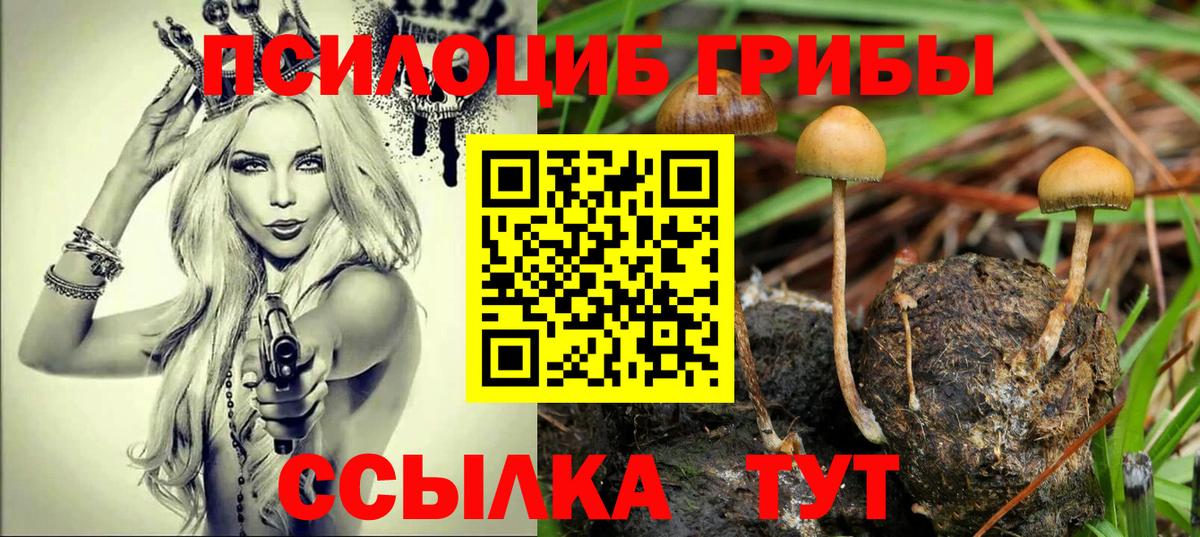 Псилоцибиновые грибы Magic Shrooms Улан-Удэ